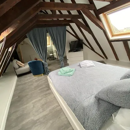 Cosy Centre Historique *