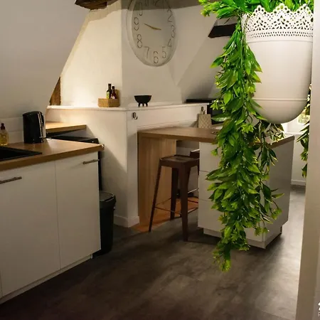 Cosy Centre Historique Apartment *